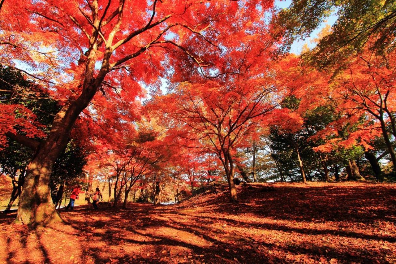 伊豆高原 温泉付別荘 Isana Mountain Villa Futo Экстерьер фото