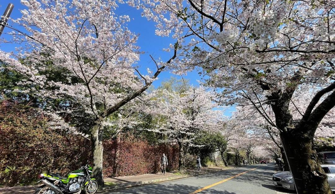 伊豆高原 温泉付別荘 Isana Mountain Villa Futo Экстерьер фото